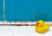 ���������� ������ � �������� ����� �� ����� �����