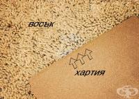 ���������� ����� �� ���� ����� ������ � ������ � ����