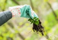 ���������� ��������� �� ��������� � 9 �������� ��������