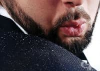 ���������� ������� � �������� ����� �� ����� �����