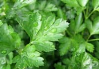 ���������� ������� � ����� �� ��������