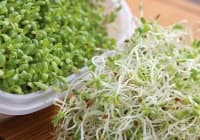 ���������� ������� � �������� �� �������