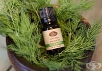 ���������� ������� ������� ��� ����� � �������� ����� �� �����