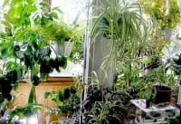 ���������� ������� �� �������� �������� ��� �����������