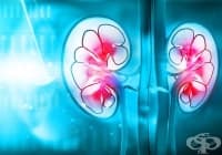 ���������� �� 4 ��������� ���� �� ����������� �� ���������