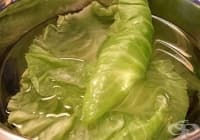 ������� �������� �� ����, ���� � ������ ����� ����� ������� ������