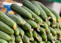 ��������� 12 ������ �� ���������� �� ���� � ����������� �� �������� � ������� �� ����������