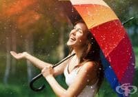 ��������� 40 ������ ������� �� ����������� �� �����������