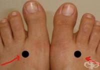 ��������� �������� ������� �� ����������� �� ������������, ���������� �� ������ � ����������� �� ������ ����