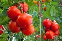 ��������� ������� � ��� �� ����������� �� ������ ��������� � ���������