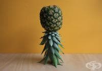 ��������� ���� ����� ����� �� ���������� ������ �� �������