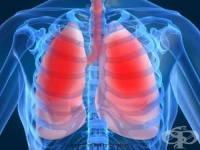 ���������� � �������� ������ �� ������� �� ������� ���������� ������