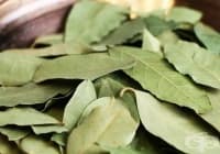 ��������� ���������� �� ���� � ������� ����