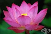 ��������� ����������� �� ����� � 10 �������� �� ����