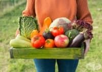 ��������� ����� �� ������ � ������, ������ ������ �� ����� ����