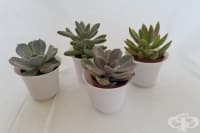 ��� �� ��������� ��������