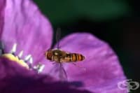 ��������� �� ������� ����� ������ �������� � �������� ����� � ������� ������