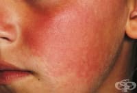 ��������� ��������� � ������ ���� � ���� ����