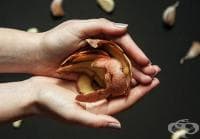 � ��������� ������ �� ���������� ��������� �� ����� �� ������ ��