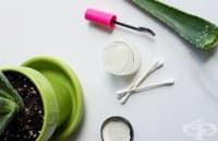 ��������� �� ����� �� ����� ����� � ���� ���� � �������� �����