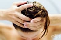 5 ����� �� ��������� � ������ �����