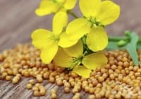 ���������� ��������� �� ������� � ������� ��� �������� ����