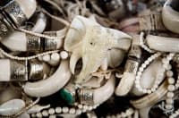 ����� ��� �� ���������� ��������� �� ������� ����