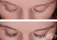 ������� 3 ��������� ����� �� ������ �� ������� � �������