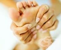 ������ �� �������� � �������� ����� �� �� �������� �� ������