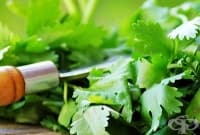 ���������� ������ � ���������� �� ������ ��� ��� �� ���������