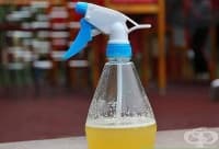 ��������� �� �������� ������ �������� �� ���� � ���� �� ���� 