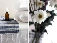 �������� ������� � �������� �� � ��������� ����� �� �������� �����