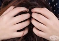 ������ �������� � ��������� ������� �� ������ ��� ����� �� ��������, ��������� � ������