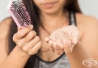 ������ �������� � ����� �� �����, ������ � �������