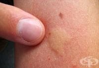 ������ ������� ���� �������� �� �������� � ��������, ������, �������� ��� �����