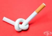 ������ �������������� ���� 8 ��������� ������