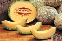 ����� ������, ������������, ������� � ������� ����������� �����