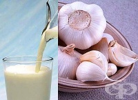 Срещу грип, хапвайте каша от мед и чесън или пийте чесново мляко