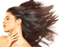 ����� ������ � �������� ����, ��������� � ������ ��� �� �������