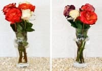 ����������� ��������, �� �� �������� ������� ����� �� ��-����� �����