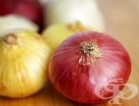 ������� �������� ������ �������� � ���