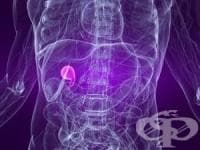 ������� �� ��������, ��� ����� �������� � ������ ���� � ��������