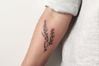 ��� �� �� ������� �� ������ ����������