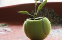 ��������� �� ���������� ������ �� ����� �� �����