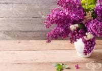 �������� ������ �� ������� � ������� ��� ����