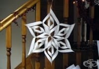 �������� ���� � �������� �������� �� 12 ������