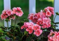 �������� ������� �� ��������� � 3 ����� � ��������� ������