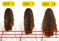 �������� ������� �� ������ ��� 7 ���� �����