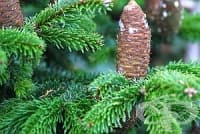 ��������� ���������� ������� � ������ �� ���