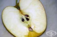 ���� ������ ��� ������� �� ��������������� �� ������ �����������